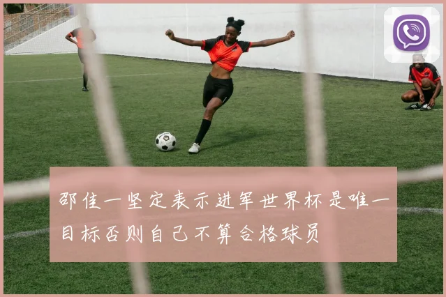 邵佳一坚定表示进军世界杯是唯一目标否则自己不算合格球员
