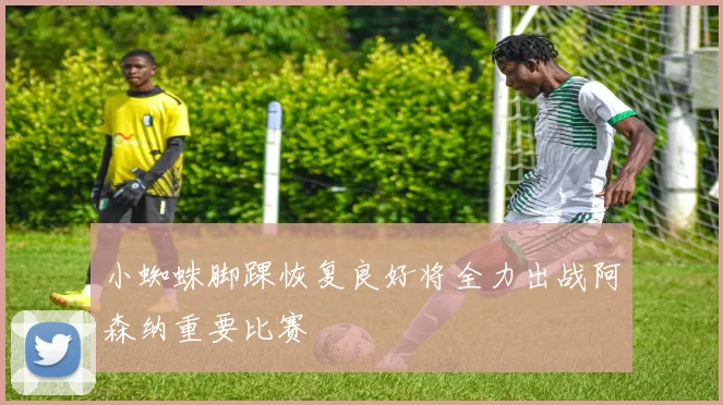 小蜘蛛脚踝恢复良好将全力出战阿森纳重要比赛